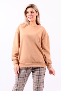 camel sweatshirt