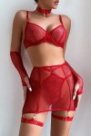 Sexy red fishnet lingerie set