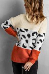 Tricolor turtleneck sweater