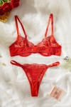 Sexy red lace set