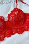 red sheer lace set