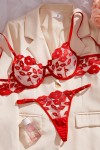 Red lingerie set