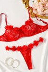 red frilly lingerie set