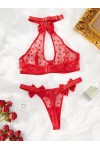 Conjunto lenceria rojo transparente