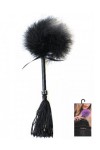 Small black duster and whisk