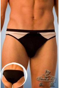 Briefs, white fishnet on the front.