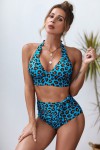 Blue leopard two-piece swimsuit